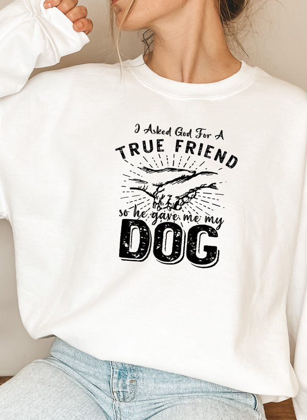 I Asked God For A True Friend Sweat Shirt shopmerchmallow Virgin Teez - Black Hoodie