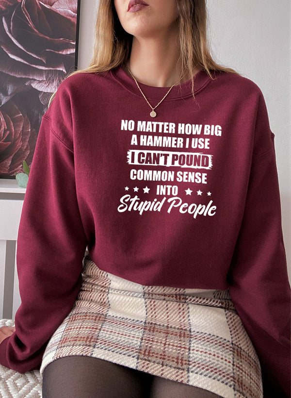 I Cant Pound Common Sense Into Stupid People Sweat Shirt shopmerchmallow Virgin Teez - Black Hoodie