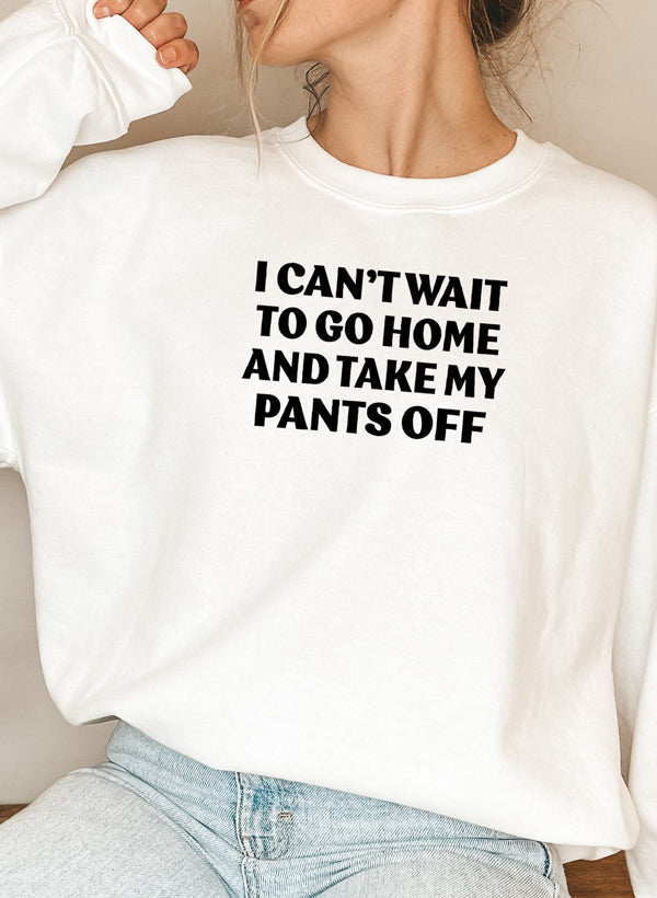 I Cant Wait To Go Home And Take My Pants Off Sweat Shirt shopmerchmallow Virgin Teez - Black Hoodie