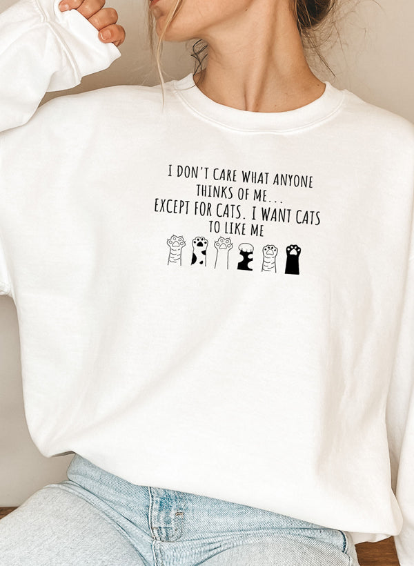 I DONT CARE WHAT ANYONE Sweat Shirt shopmerchmallow Virgin Teez - Black Hoodie