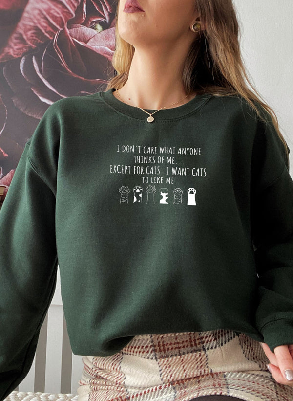 I DONT CARE WHAT ANYONE Sweat Shirt shopmerchmallow Virgin Teez - Black Hoodie
