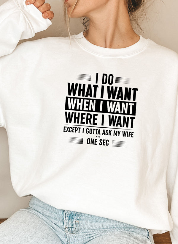 I Do What I Want When I Want Where I Want Sweat Shirt shopmerchmallow Virgin Teez - Black Hoodie