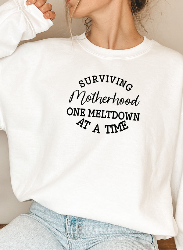 Surviving Motherhood Sweat Shirt shopmerchmallow Virgin Teez - Black Hoodie