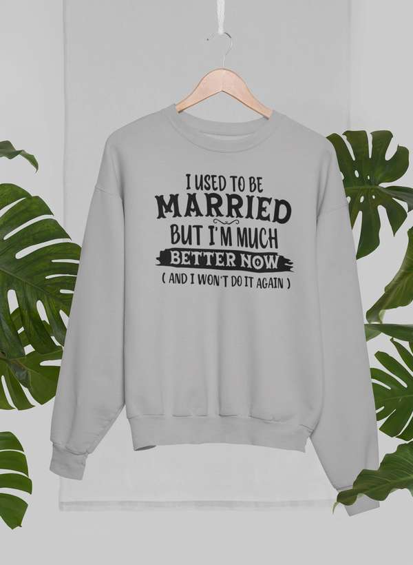 I Used To Be Married But I'm Much Better Now And I Won't Do It Again Sweat Shirt shopmerchmallow Virgin Teez - Black Hoodie
