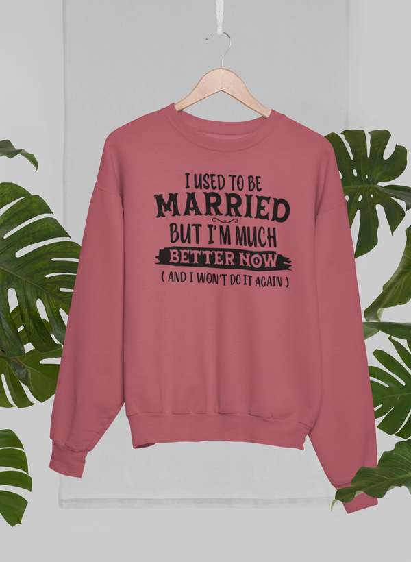 I Used To Be Married But I'm Much Better Now And I Won't Do It Again Sweat Shirt shopmerchmallow Virgin Teez - Black Hoodie