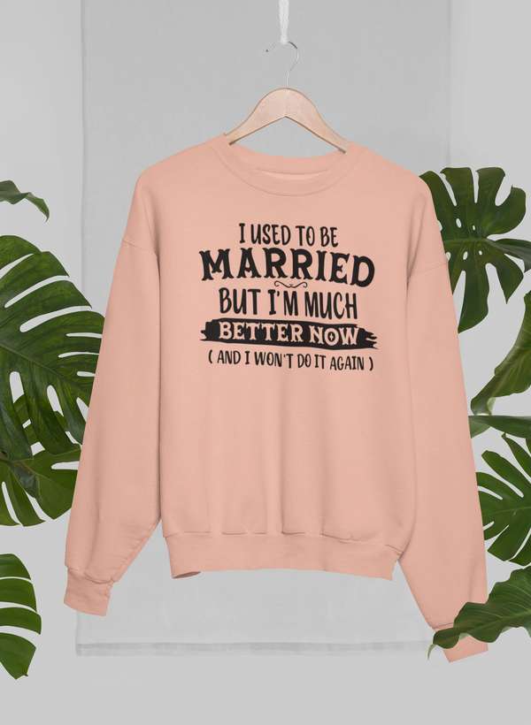 I Used To Be Married But I'm Much Better Now And I Won't Do It Again Sweat Shirt shopmerchmallow Virgin Teez - Black Hoodie