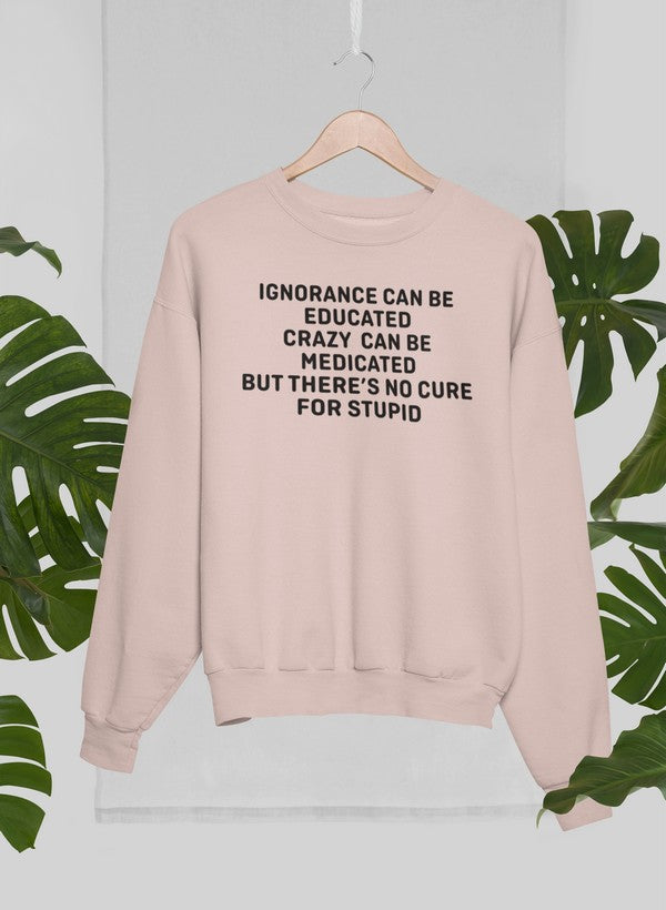 No Cure For Stupid Sweat Shirt shopmerchmallow Virgin Teez - Black Hoodie