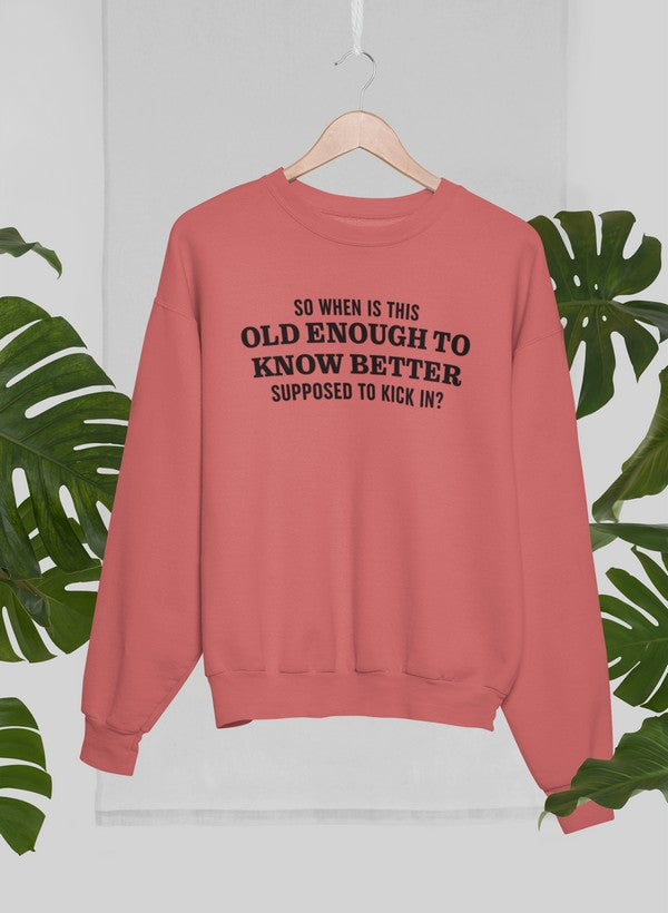 Old Enough to Know Better Sweat Shirt shopmerchmallow Virgin Teez - Black Hoodie