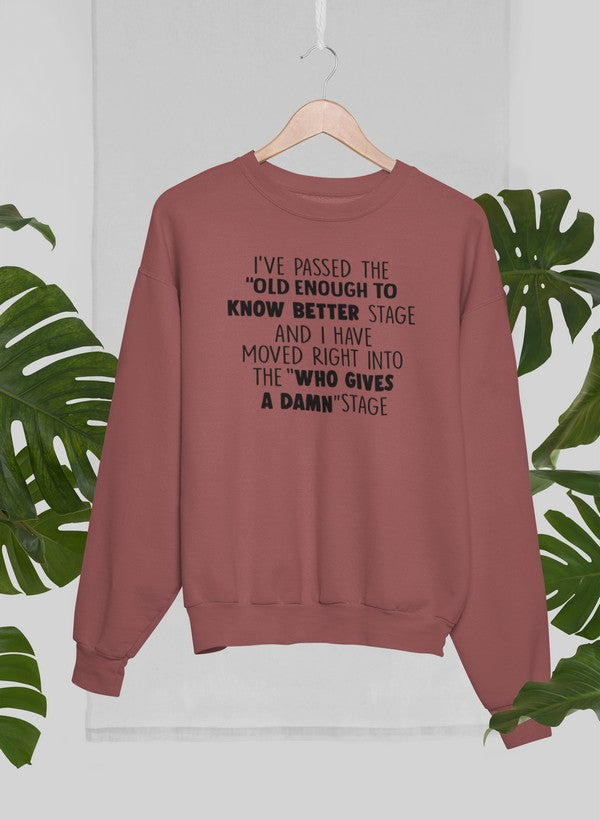 Old Enough To Know Better Sweat Shirt shopmerchmallow Virgin Teez - Black Hoodie