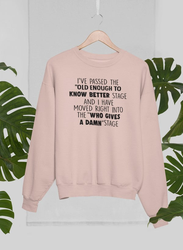 Old Enough To Know Better Sweat Shirt shopmerchmallow Virgin Teez - Black Hoodie