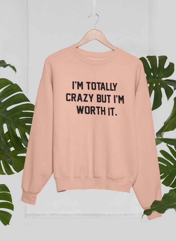 I'm Totally Crazy But I'm Worth It Sweat Shirt shopmerchmallow Virgin Teez - Black Hoodie