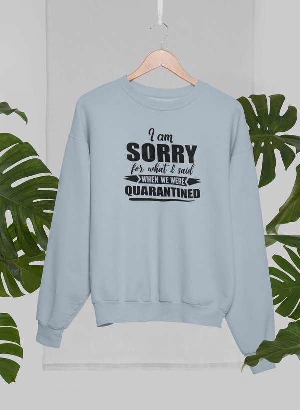 I Am Sorry For What I Said When We Were Quarantined Sweat Shirt shopmerchmallow Virgin Teez - Black Hoodie