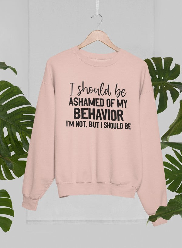 My Behavior Sweat Shirt shopmerchmallow Virgin Teez - Black Hoodie