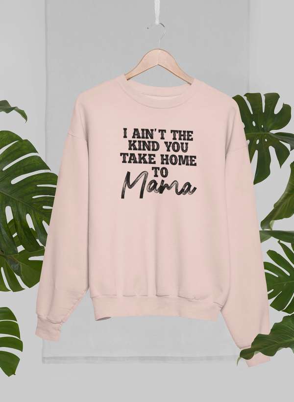 I Ain't The Kind You Take Home To Mama Sweat Shirt shopmerchmallow Virgin Teez - Black Hoodie