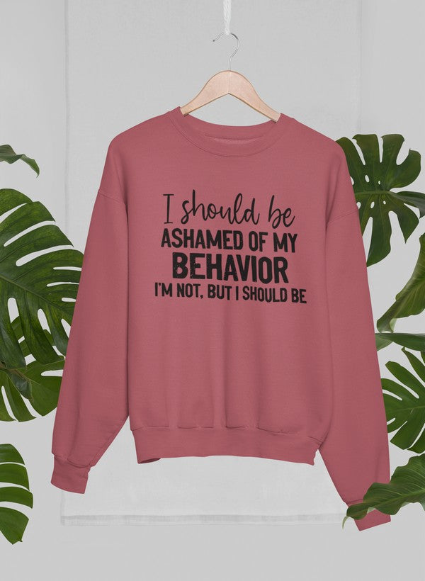 My Behavior Sweat Shirt shopmerchmallow Virgin Teez - Black Hoodie