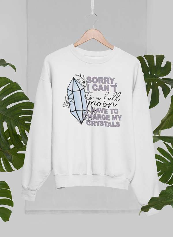 I Have To Charge My Crystals Sweat Shirt shopmerchmallow Virgin Teez - Black Hoodie
