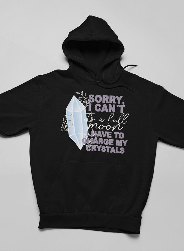 Sorry i can't Hoodie shopmerchmallow Virgin Teez - Black Hoodie