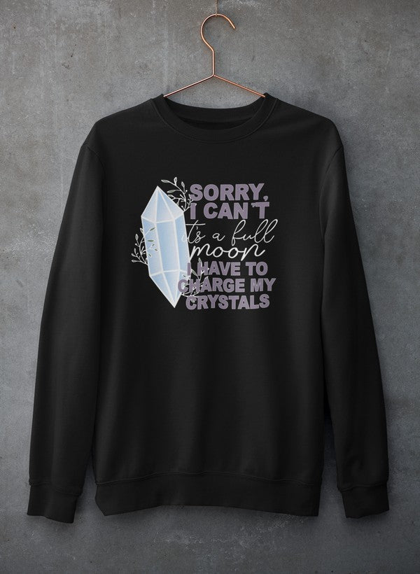 Sorry i cant Sweat Shirt shopmerchmallow Virgin Teez - Black Hoodie