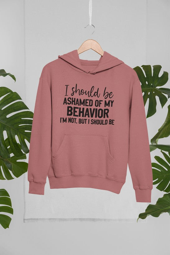 My Behavior Hoodie shopmerchmallow Virgin Teez - Black Hoodie