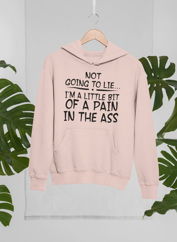 I'm Not Going To Lie Hoodie shopmerchmallow Virgin Teez - Black Hoodie