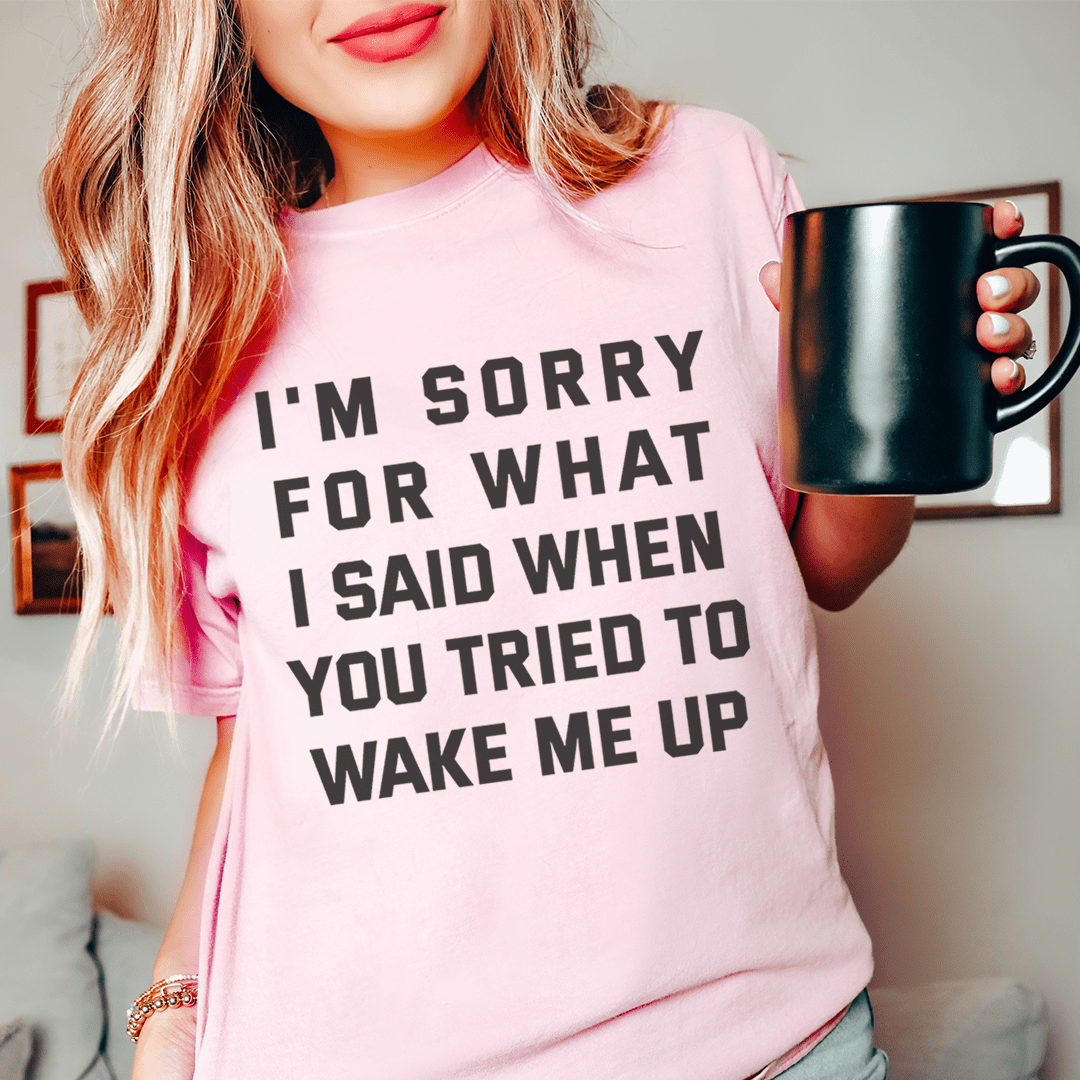 I'm Sorry For What I Said When You Tried To Wake Me Up Tee shopmerchmallow I'm Sorry For What I Said When You Tried To Wake Me Up Tee