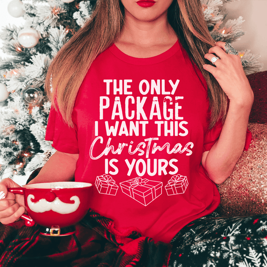 The Only Package I Want This Christmas Tee shopmerchmallow The Only Package I Want This Christmas Tee