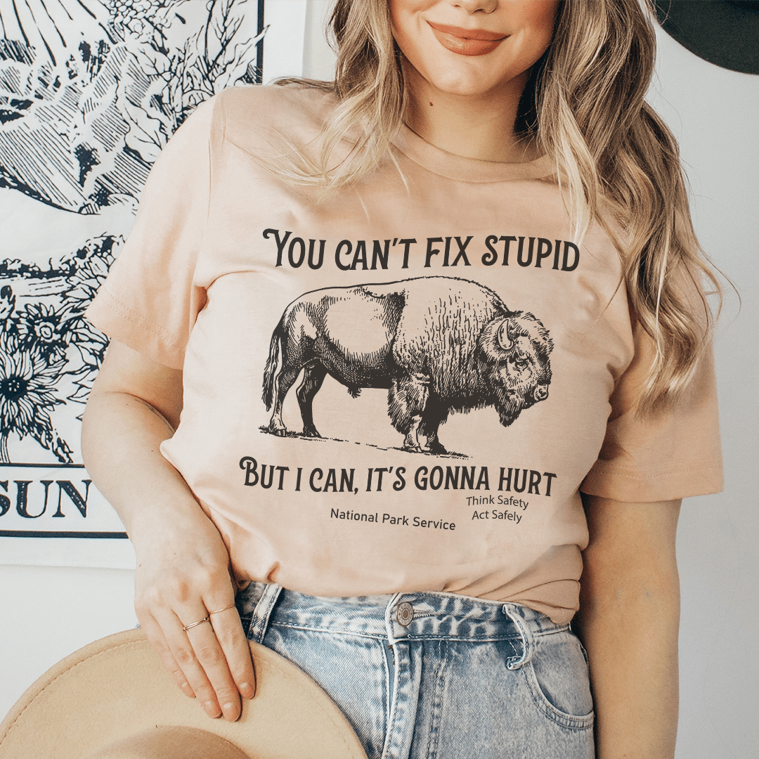 You Can't Fix Stupid But I Can Tee shopmerchmallow You Can't Fix Stupid But I Can Tee