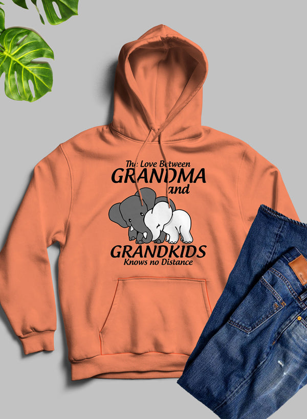 The Love Between Grandma And Grandkids Knows No Distance Hoodie shopmerchmallow Virgin Teez - Black Hoodie