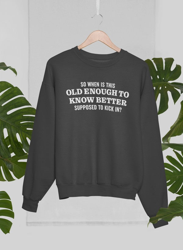 Old Enough to Know Better Sweat Shirt shopmerchmallow Virgin Teez - Black Hoodie