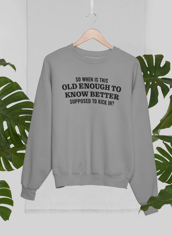 Old Enough to Know Better Sweat Shirt shopmerchmallow Virgin Teez - Black Hoodie