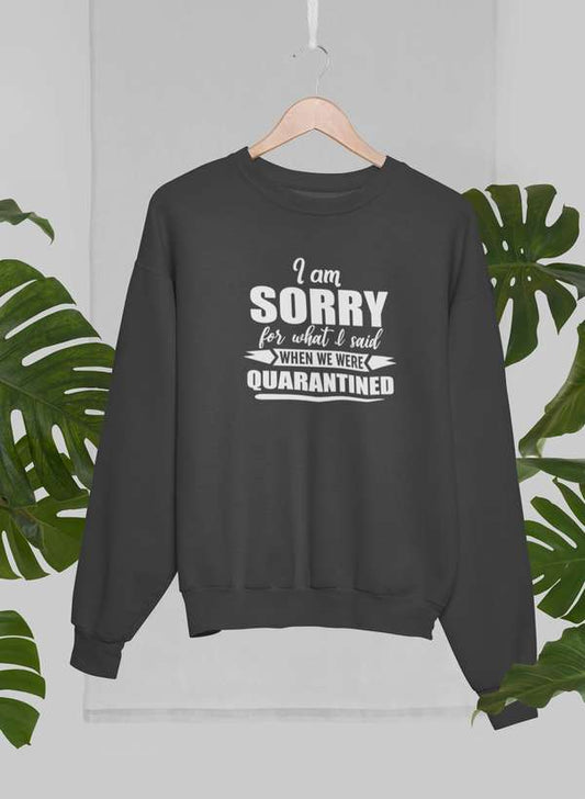 I Am Sorry For What I Said When We Were Quarantined Sweat Shirt shopmerchmallow Virgin Teez - Black Hoodie