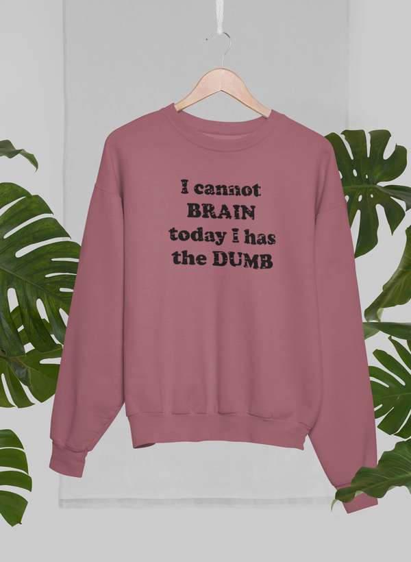 I Cannot Brain Today I Has The Dumb Sweat Shirt shopmerchmallow Virgin Teez - Black Hoodie