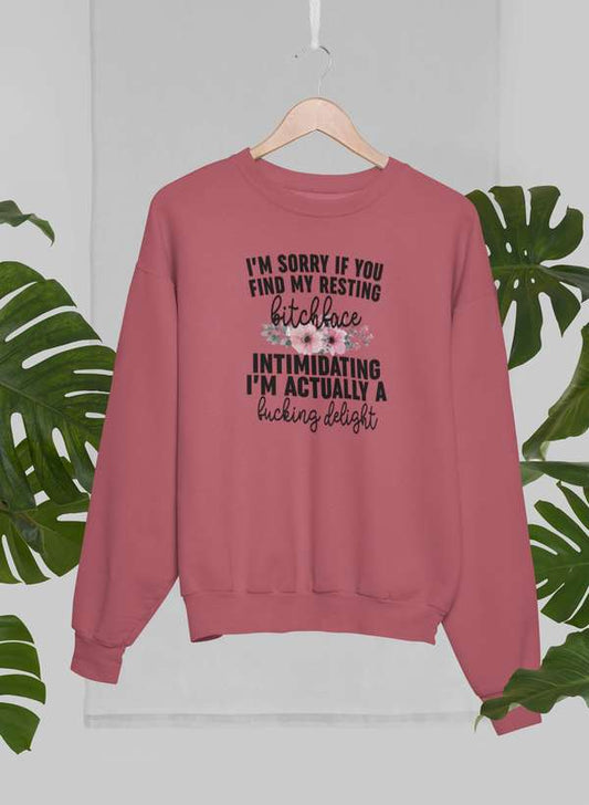 I'm Sorry If You Find My Resting Face Intimidating Sweat Shirt shopmerchmallow Virgin Teez - Black Hoodie