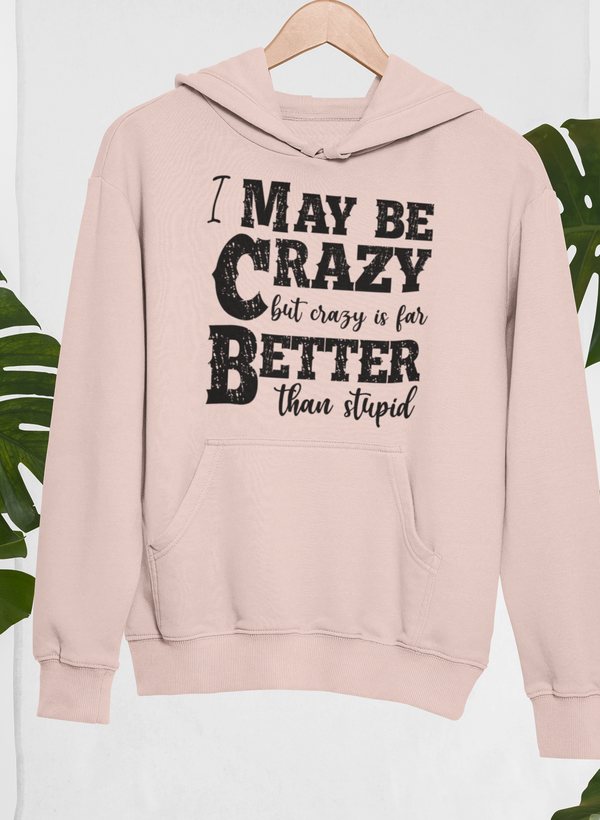 I May Be Crazy But Crazy Is Far Better Than Stupid Hoodie shopmerchmallow Virgin Teez - Black Hoodie