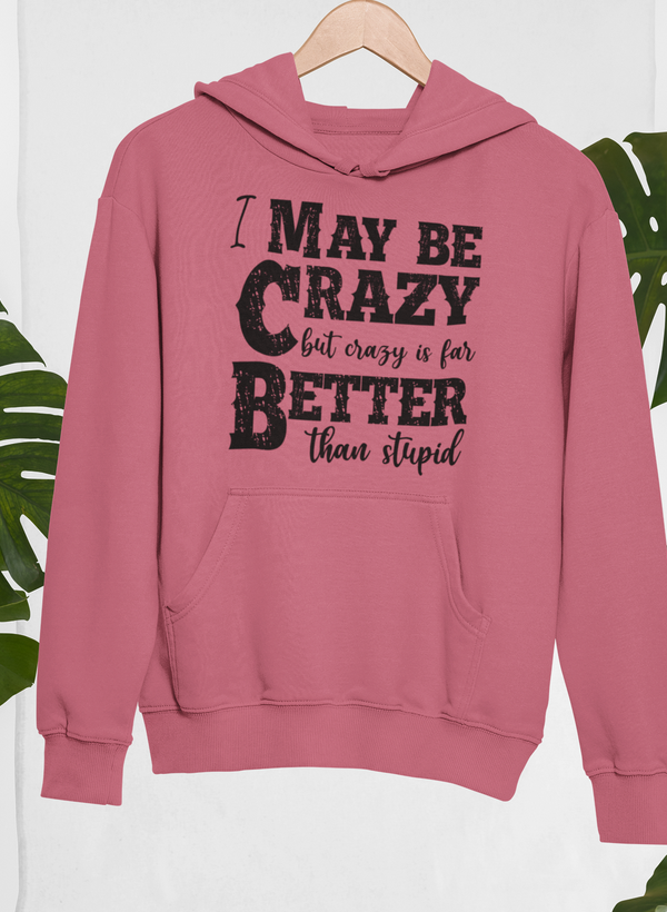 I May Be Crazy But Crazy Is Far Better Than Stupid Hoodie shopmerchmallow Virgin Teez - Black Hoodie