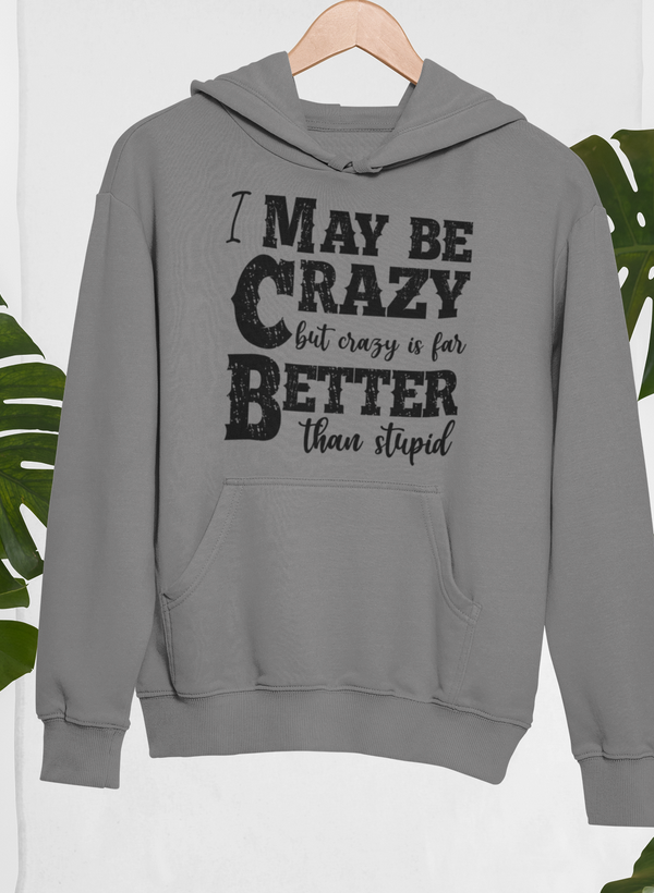 I May Be Crazy But Crazy Is Far Better Than Stupid Hoodie shopmerchmallow Virgin Teez - Black Hoodie