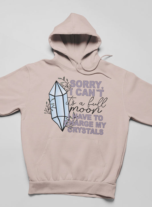 I Have To Charge My Crystals Hoodie shopmerchmallow Virgin Teez - Black Hoodie