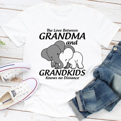 The Love Between Grandma And Grandkids Knows No Distance T-Shirt